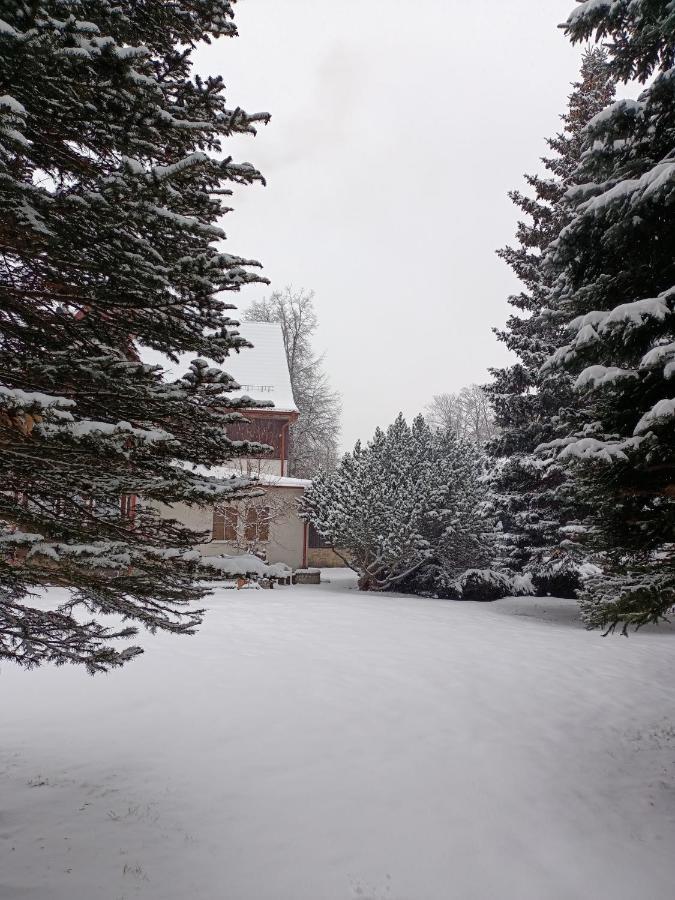 Osrodek Wypoczynkowy Nad Wodospadem Przesieka Exterior foto